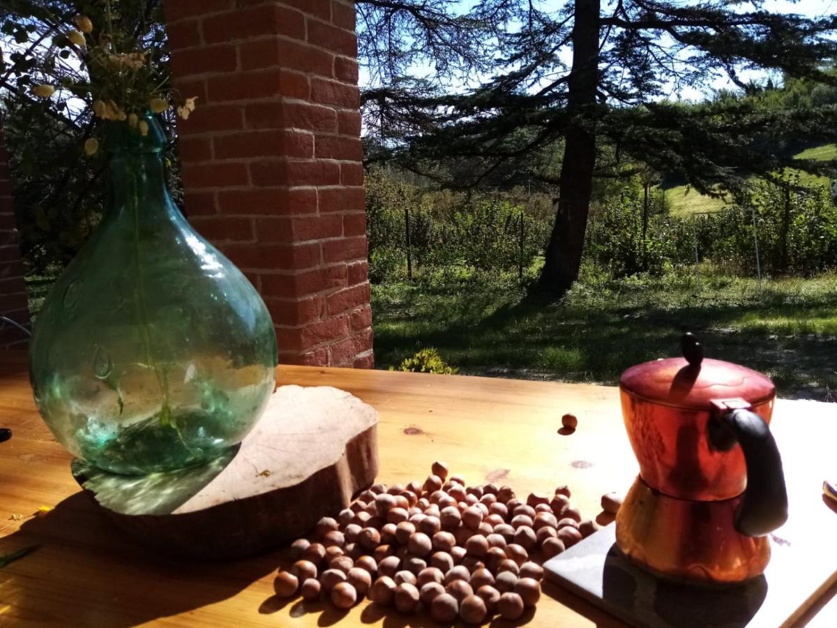 فيلا Casa Delle Foglie Sussurranti آستي المظهر الخارجي الصورة