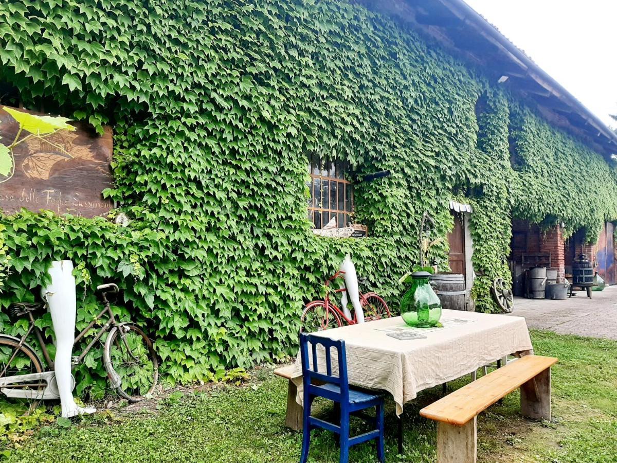 فيلا Casa Delle Foglie Sussurranti آستي المظهر الخارجي الصورة