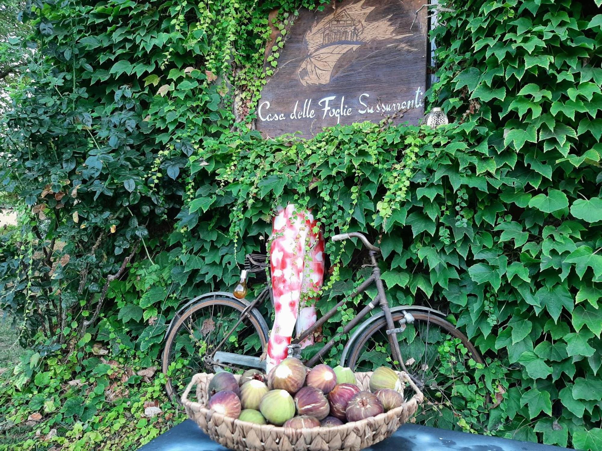 فيلا Casa Delle Foglie Sussurranti آستي المظهر الخارجي الصورة
